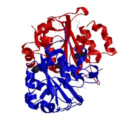 Image of CATH 2bu3