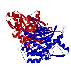 Image of CATH 2buj