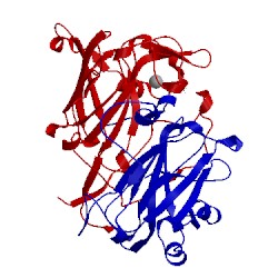 Image of CATH 2bur