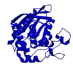 Image of CATH 2bv5