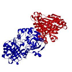 Image of CATH 2bvf