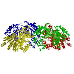 Image of CATH 2bvh
