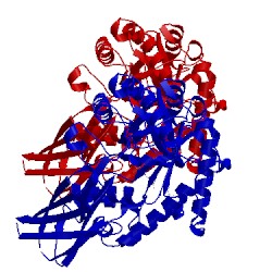 Image of CATH 2bvt