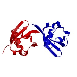 Image of CATH 2bwf