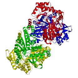 Image of CATH 2bwp