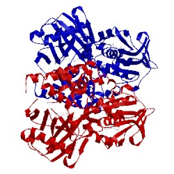 Image of CATH 2bxr