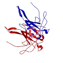Image of CATH 2bxx