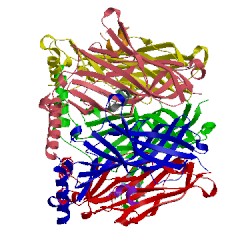 Image of CATH 2byp