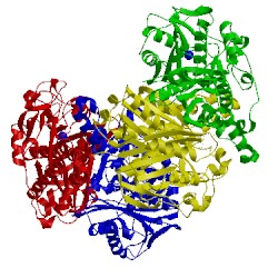 Image of CATH 2byx