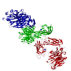 Image of CATH 2bzd