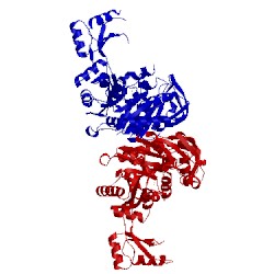 Image of CATH 2c00