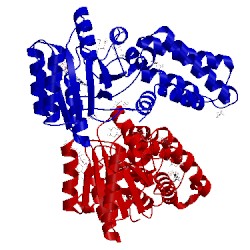 Image of CATH 2c03