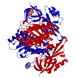 Image of CATH 2c0i