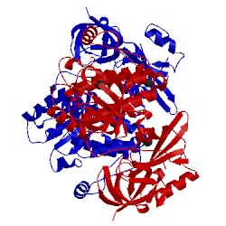 Image of CATH 2c0t