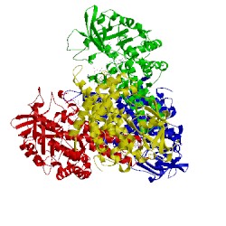 Image of CATH 2c0u