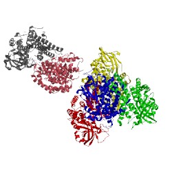 Image of CATH 2c12