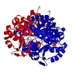 Image of CATH 2c19