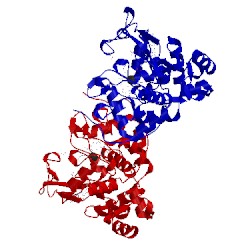 Image of CATH 2c1v