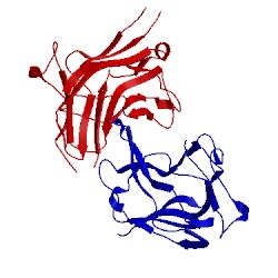 Image of CATH 2c24