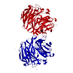 Image of CATH 2c25