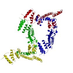 Image of CATH 2c2l