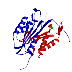 Image of CATH 2c2m