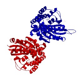 Image of CATH 2c2n