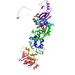 Image of CATH 2c2v