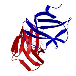 Image of CATH 2c3x