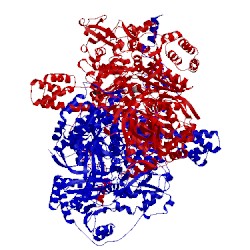 Image of CATH 2c3y