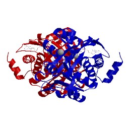 Image of CATH 2c49