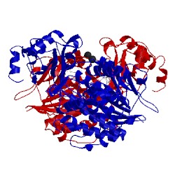 Image of CATH 2c4c