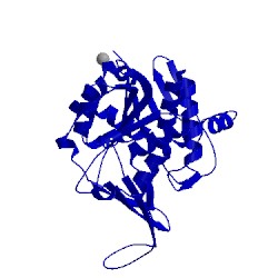 Image of CATH 2c4e
