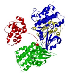 Image of CATH 2c4g