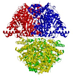 Image of CATH 2c4m