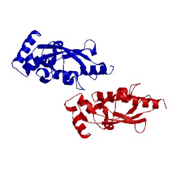 Image of CATH 2c4p