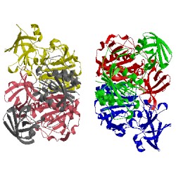 Image of CATH 2c4u
