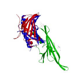 Image of CATH 2c4y