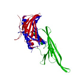 Image of CATH 2c51