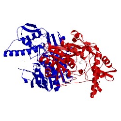 Image of CATH 2c5e