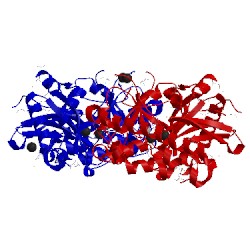 Image of CATH 2c5u