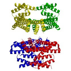 Image of CATH 2c63