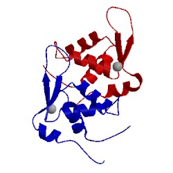 Image of CATH 2c6y