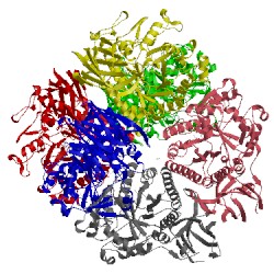 Image of CATH 2c7f