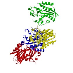 Image of CATH 2c7i