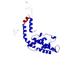 Image of CATH 2c7k