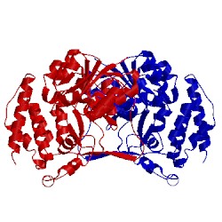 Image of CATH 2c82