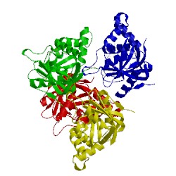 Image of CATH 2c8c
