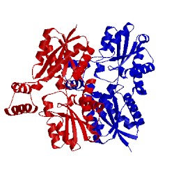Image of CATH 2c8j