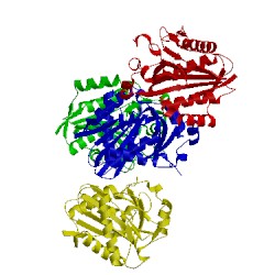 Image of CATH 2c8m